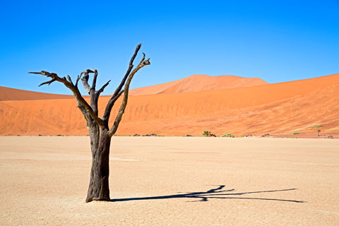 Deadvlei (Namib-Naukluft-Park/Namibia)