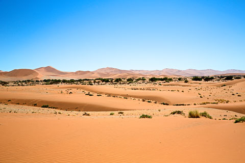 Dünen im Namib-Naukluft-Park (Namibia)